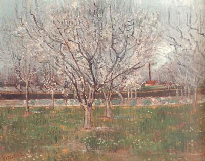 Vincent Van Gogh Orchard in Blossom (nn04)